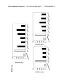 PROMOTER DERIVED FROM HUMAN GENE diagram and image