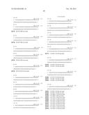 PROMOTER DERIVED FROM HUMAN GENE diagram and image