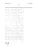 PROMOTER DERIVED FROM HUMAN GENE diagram and image