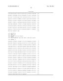 PROMOTER DERIVED FROM HUMAN GENE diagram and image