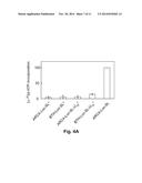 Stabilizing RNA by Incorporating Chain-Terminating Nucleosides at the     3 -Terminus diagram and image