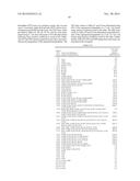 BIOCATALYSTS AND METHODS FOR THE SYNTHESIS OF SUBSTITUTED LACTAMS diagram and image