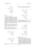 BIOCATALYSTS AND METHODS FOR THE SYNTHESIS OF SUBSTITUTED LACTAMS diagram and image