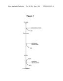 MICROORGANISM STRAINS FOR THE PRODUCTION OF 2,3-BUTANEDIOL diagram and image