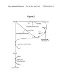 MICROORGANISM STRAINS FOR THE PRODUCTION OF 2,3-BUTANEDIOL diagram and image