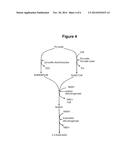 MICROORGANISM STRAINS FOR THE PRODUCTION OF 2,3-BUTANEDIOL diagram and image