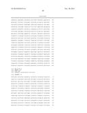 MICROORGANISM STRAINS FOR THE PRODUCTION OF 2,3-BUTANEDIOL diagram and image