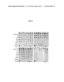 BIOCATALYSTS WITH ENHANCED INHIBITOR TOLERANCE diagram and image