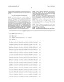 HIGH EFFICIENCY BIOFUEL PRODUCTION USING EXTREMELY THERMOPHILIC BACTERIA diagram and image