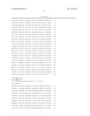 HIGH EFFICIENCY BIOFUEL PRODUCTION USING EXTREMELY THERMOPHILIC BACTERIA diagram and image