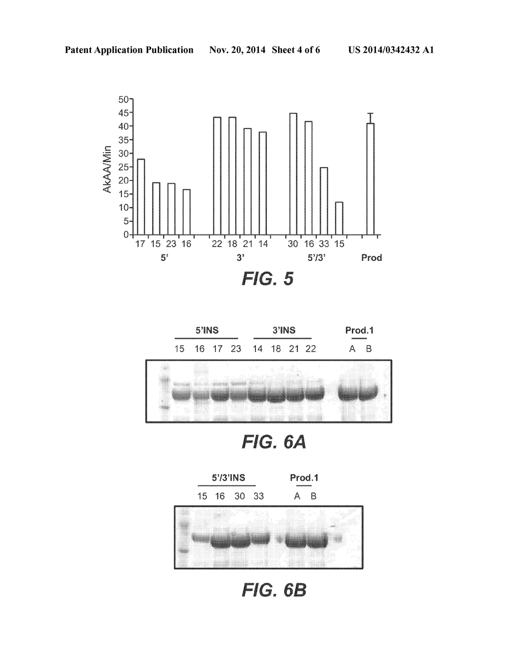 Fungal Gene Expression Using Insulator DNA Sequences - diagram, schematic, and image 05