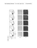 RNA-Guided Human Genome Engineering diagram and image