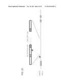 RNA-Guided Human Genome Engineering diagram and image