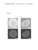 RNA-Guided Human Genome Engineering diagram and image