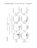 RNA-Guided Human Genome Engineering diagram and image