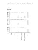 RNA-Guided Human Genome Engineering diagram and image