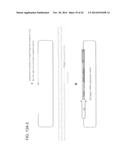 RNA-Guided Human Genome Engineering diagram and image