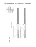 RNA-Guided Human Genome Engineering diagram and image