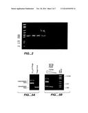 METHODS FOR SELECTIVE TARGETING diagram and image