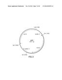 FUNCTIONAL CELL SURFACE DISPLAY OF LIGANDS FOR THE INSULIN AND/OR INSULIN     GROWTH FACTOR 1 RECEPTOR AND APPLICATIONS THEREOF diagram and image