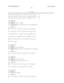 FUNCTIONAL CELL SURFACE DISPLAY OF LIGANDS FOR THE INSULIN AND/OR INSULIN     GROWTH FACTOR 1 RECEPTOR AND APPLICATIONS THEREOF diagram and image