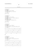 FUNCTIONAL CELL SURFACE DISPLAY OF LIGANDS FOR THE INSULIN AND/OR INSULIN     GROWTH FACTOR 1 RECEPTOR AND APPLICATIONS THEREOF diagram and image