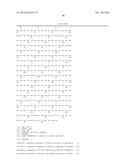 FUNCTIONAL CELL SURFACE DISPLAY OF LIGANDS FOR THE INSULIN AND/OR INSULIN     GROWTH FACTOR 1 RECEPTOR AND APPLICATIONS THEREOF diagram and image