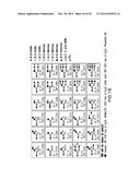 FUNCTIONAL CELL SURFACE DISPLAY OF LIGANDS FOR THE INSULIN AND/OR INSULIN     GROWTH FACTOR 1 RECEPTOR AND APPLICATIONS THEREOF diagram and image