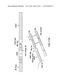 FUNCTIONAL CELL SURFACE DISPLAY OF LIGANDS FOR THE INSULIN AND/OR INSULIN     GROWTH FACTOR 1 RECEPTOR AND APPLICATIONS THEREOF diagram and image