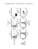 FUNCTIONAL CELL SURFACE DISPLAY OF LIGANDS FOR THE INSULIN AND/OR INSULIN     GROWTH FACTOR 1 RECEPTOR AND APPLICATIONS THEREOF diagram and image