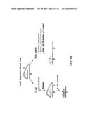 FUNCTIONAL CELL SURFACE DISPLAY OF LIGANDS FOR THE INSULIN AND/OR INSULIN     GROWTH FACTOR 1 RECEPTOR AND APPLICATIONS THEREOF diagram and image