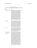 FUNCTIONAL CELL SURFACE DISPLAY OF LIGANDS FOR THE INSULIN AND/OR INSULIN     GROWTH FACTOR 1 RECEPTOR AND APPLICATIONS THEREOF diagram and image