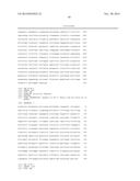 FUNCTIONAL CELL SURFACE DISPLAY OF LIGANDS FOR THE INSULIN AND/OR INSULIN     GROWTH FACTOR 1 RECEPTOR AND APPLICATIONS THEREOF diagram and image