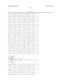 FUNCTIONAL CELL SURFACE DISPLAY OF LIGANDS FOR THE INSULIN AND/OR INSULIN     GROWTH FACTOR 1 RECEPTOR AND APPLICATIONS THEREOF diagram and image