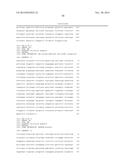 FUNCTIONAL CELL SURFACE DISPLAY OF LIGANDS FOR THE INSULIN AND/OR INSULIN     GROWTH FACTOR 1 RECEPTOR AND APPLICATIONS THEREOF diagram and image