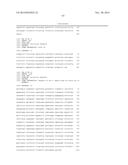 FUNCTIONAL CELL SURFACE DISPLAY OF LIGANDS FOR THE INSULIN AND/OR INSULIN     GROWTH FACTOR 1 RECEPTOR AND APPLICATIONS THEREOF diagram and image