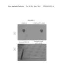 MODIFICATION OF SURFACES FOR FLUID AND SOLID REPELLENCY diagram and image