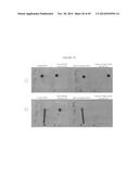 MODIFICATION OF SURFACES FOR FLUID AND SOLID REPELLENCY diagram and image