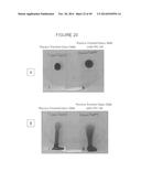 MODIFICATION OF SURFACES FOR FLUID AND SOLID REPELLENCY diagram and image