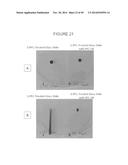 MODIFICATION OF SURFACES FOR FLUID AND SOLID REPELLENCY diagram and image