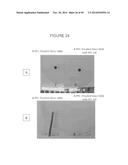 MODIFICATION OF SURFACES FOR FLUID AND SOLID REPELLENCY diagram and image