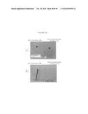 MODIFICATION OF SURFACES FOR FLUID AND SOLID REPELLENCY diagram and image