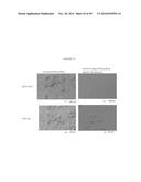 MODIFICATION OF SURFACES FOR FLUID AND SOLID REPELLENCY diagram and image