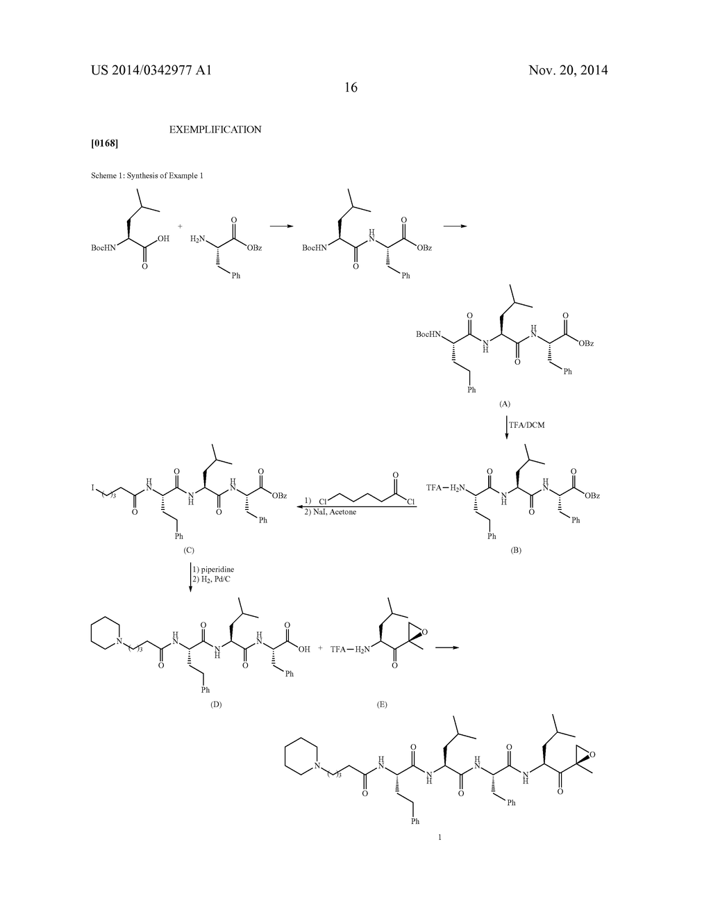 COMPOUNDS FOR PROTEASOME ENZYME INHIBITION - diagram, schematic, and image 17