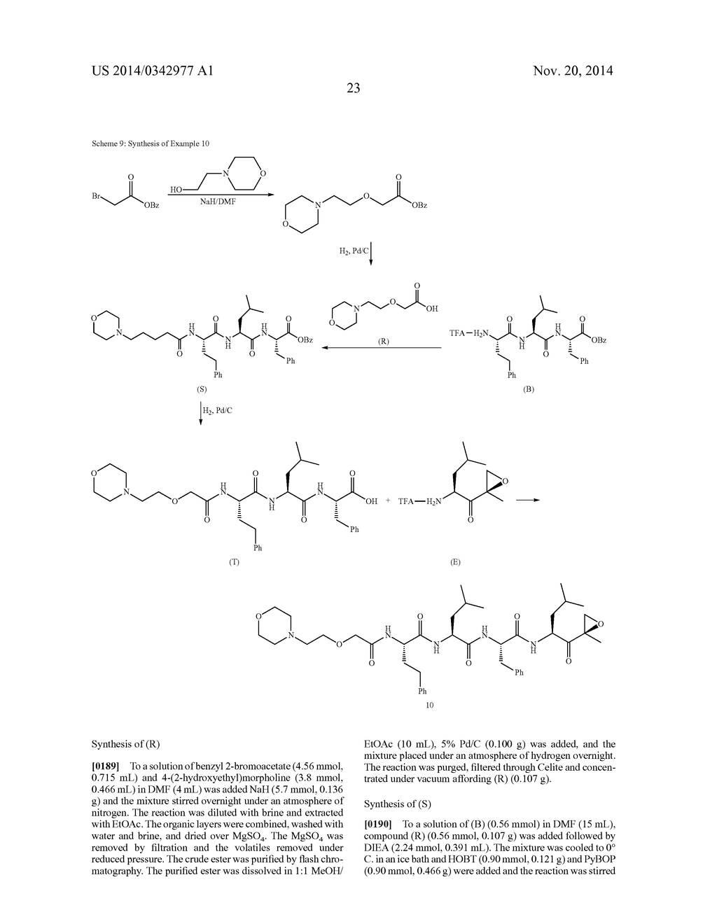 COMPOUNDS FOR PROTEASOME ENZYME INHIBITION - diagram, schematic, and image 24