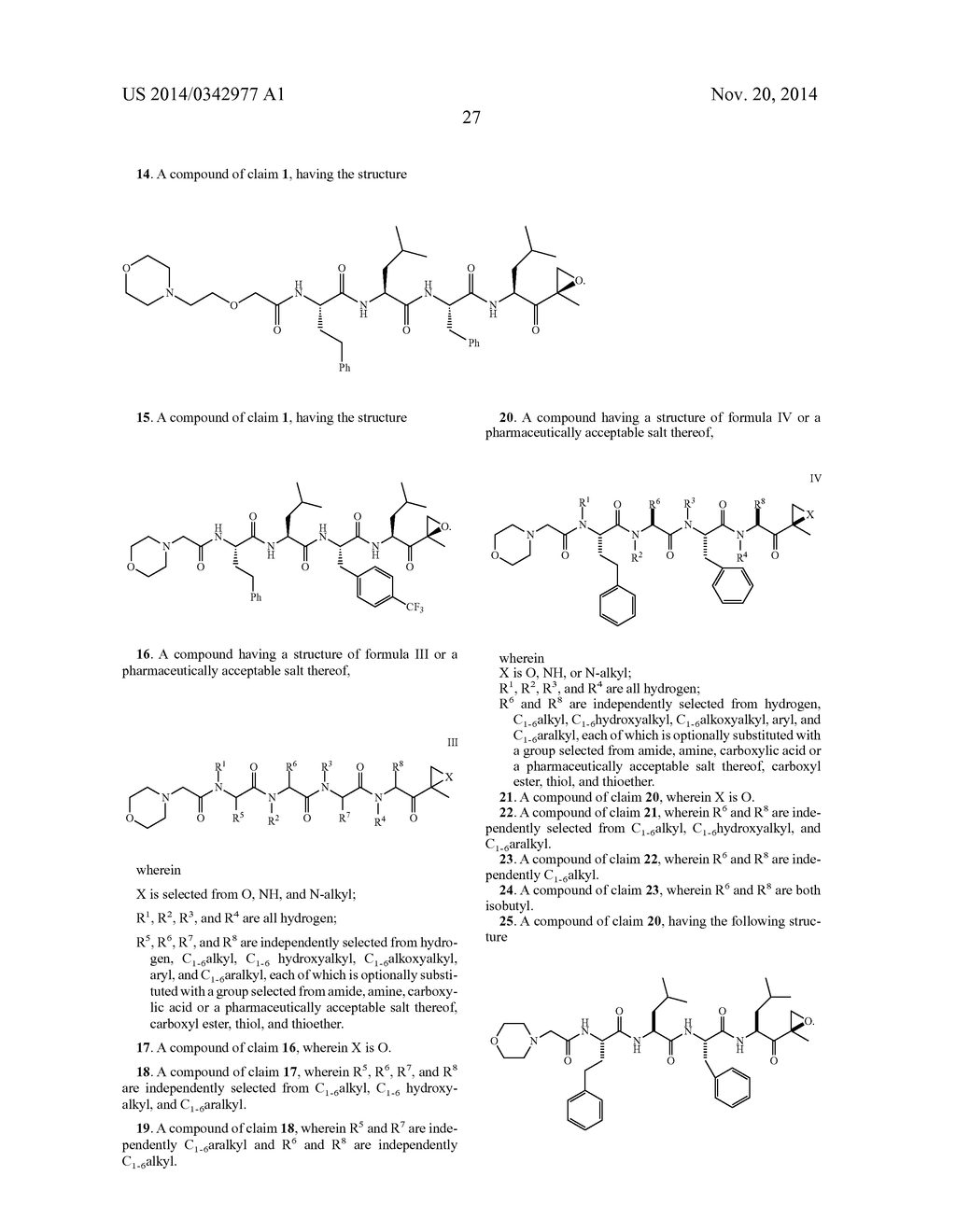 COMPOUNDS FOR PROTEASOME ENZYME INHIBITION - diagram, schematic, and image 28