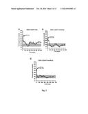 GENE THERAPY COMPOSITION FOR USE IN DIABETES TREATMENT diagram and image