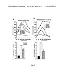 GENE THERAPY COMPOSITION FOR USE IN DIABETES TREATMENT diagram and image