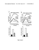 GENE THERAPY COMPOSITION FOR USE IN DIABETES TREATMENT diagram and image