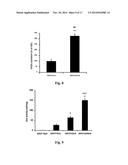 GENE THERAPY COMPOSITION FOR USE IN DIABETES TREATMENT diagram and image